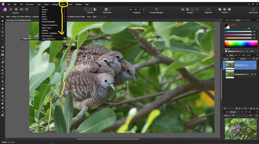 ΠΩΣ ΝΑ ΧΡΗΣΙΜΟΠΟΙΗΣΕΤΕ ΤΟ TOPAZ DENOISE AI ΜΕ "AFFINITY PHOTO"