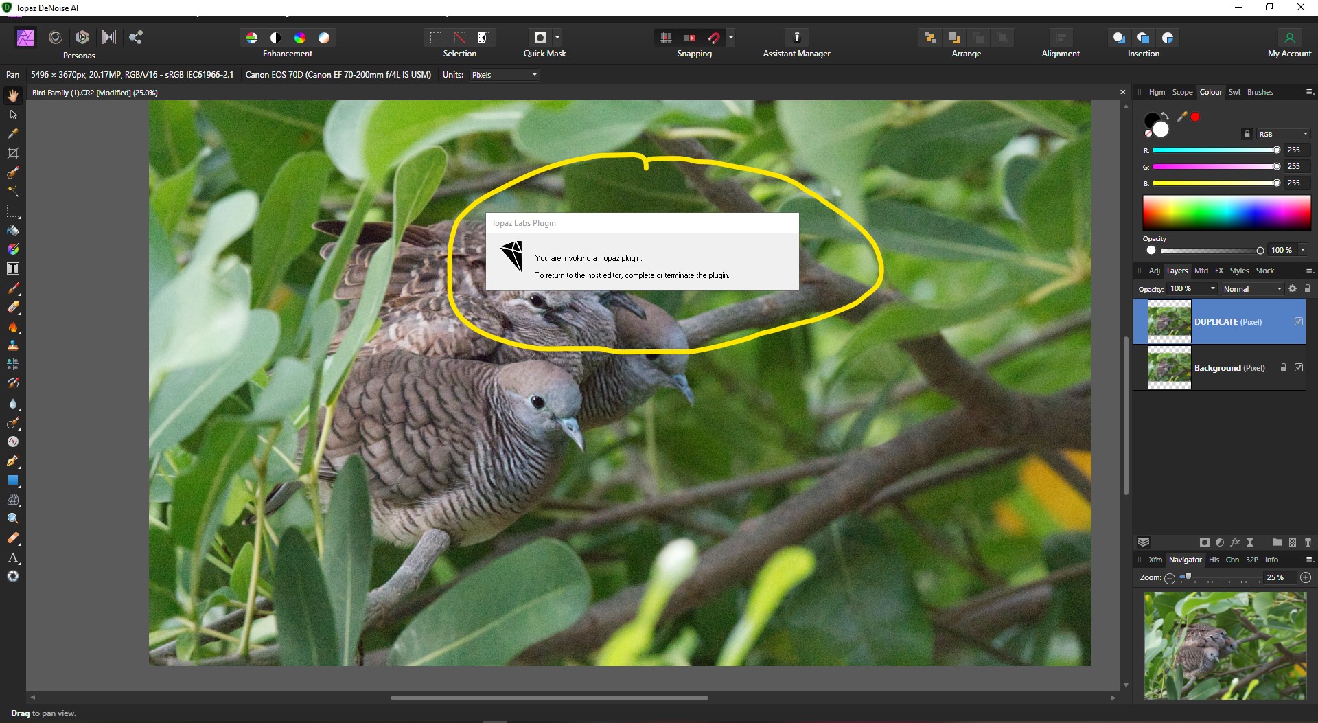 BAGAIMANA CARA MENGGUNAKAN TOPAZ DENOISE AI DENGAN "AFFINITY PHOTO"?
