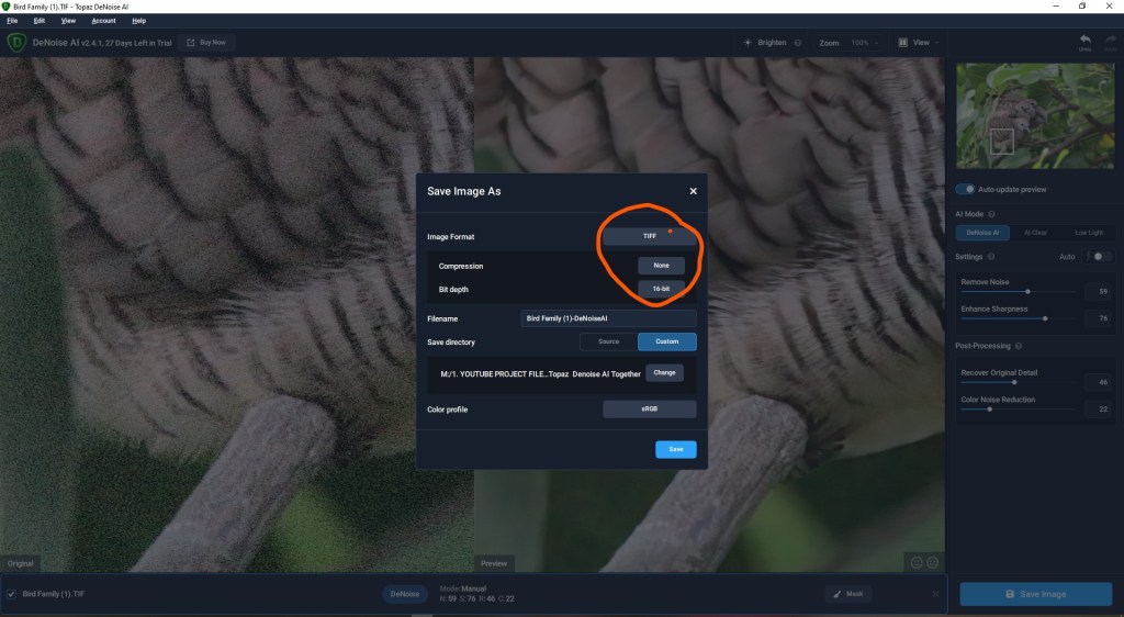 TOPAZ DENOISE AI 2022