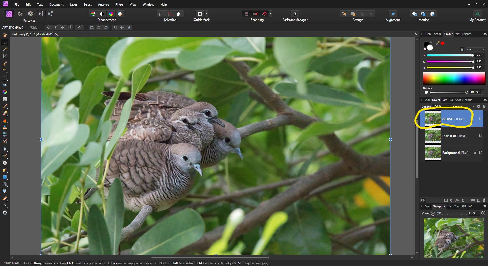COMO USAR O TOPAZ DENOISE AI COM "AFFINITY PHOTO"?