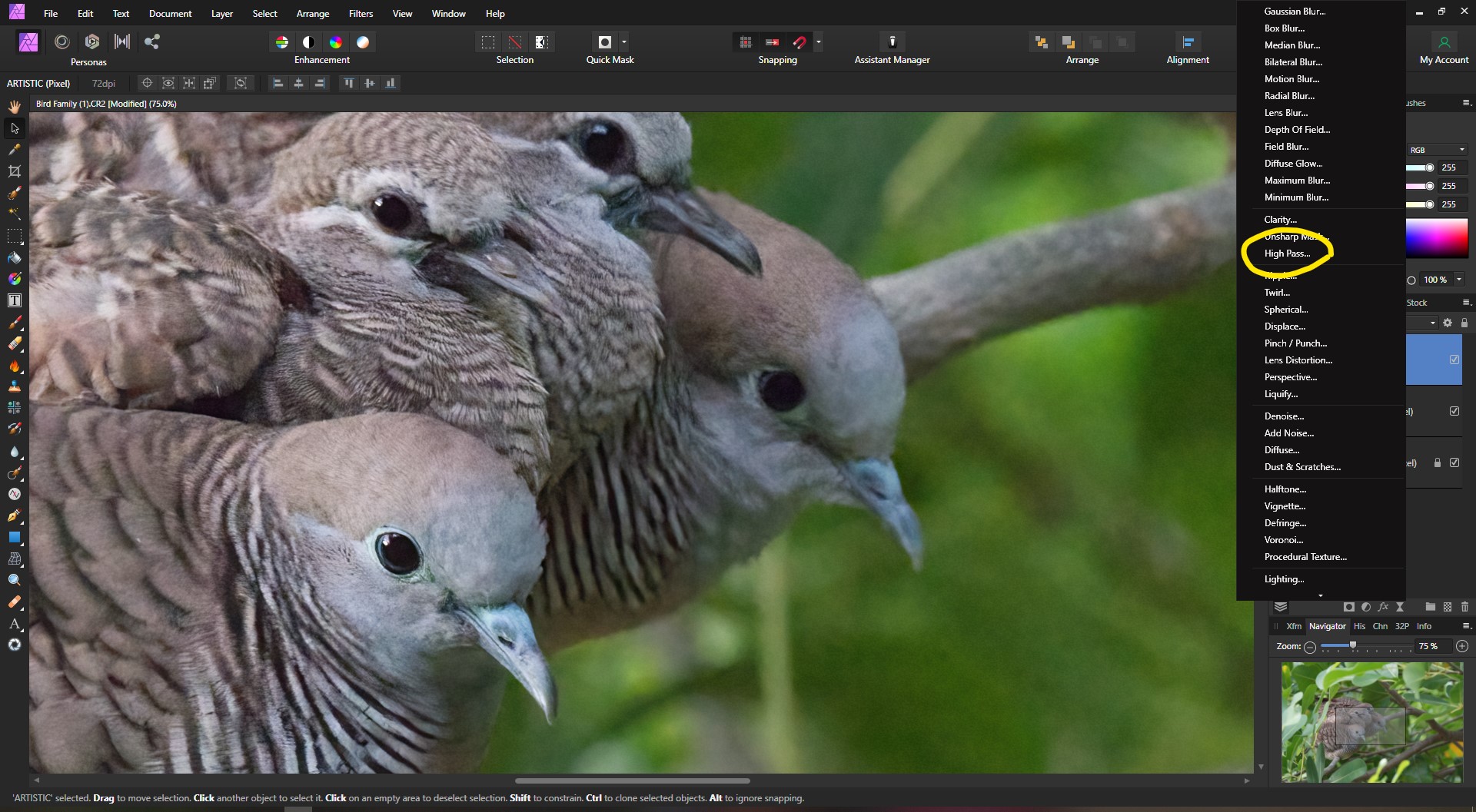 WIE VERWENDEN SIE TOPAZ DENOISE AI MIT "AFFINITY PHOTO"?