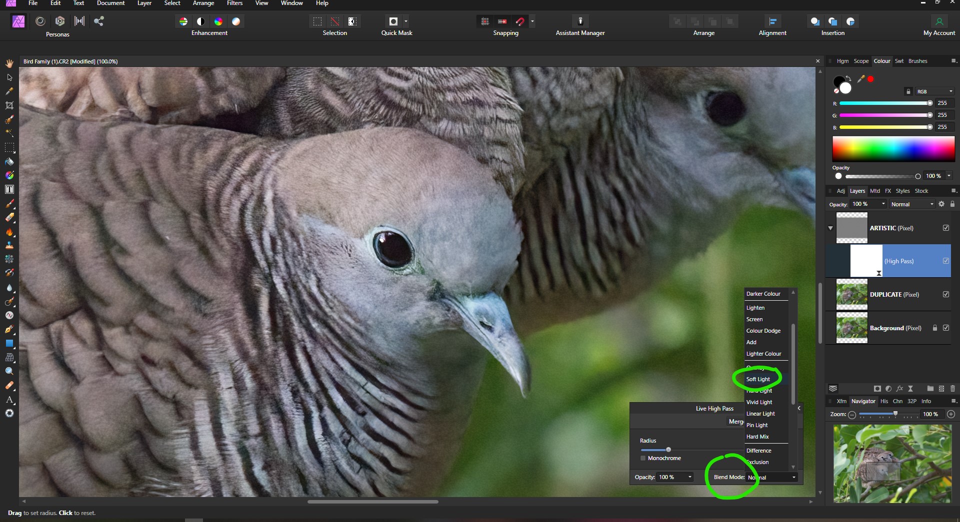 MITEN TOPAZ DENOISE AI KÄYTETÄÄN "AFFINITY PHOTO" -kuvakkeella?