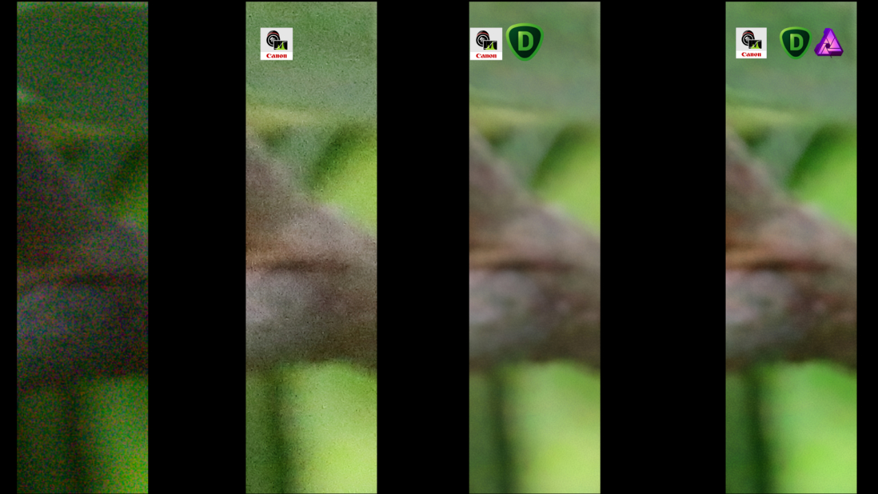 MEILLEUR LOGICIEL DE RÉDUCTION DU BRUIT POUR LA PHOTOGRAPHIE D’OISEAUX ?