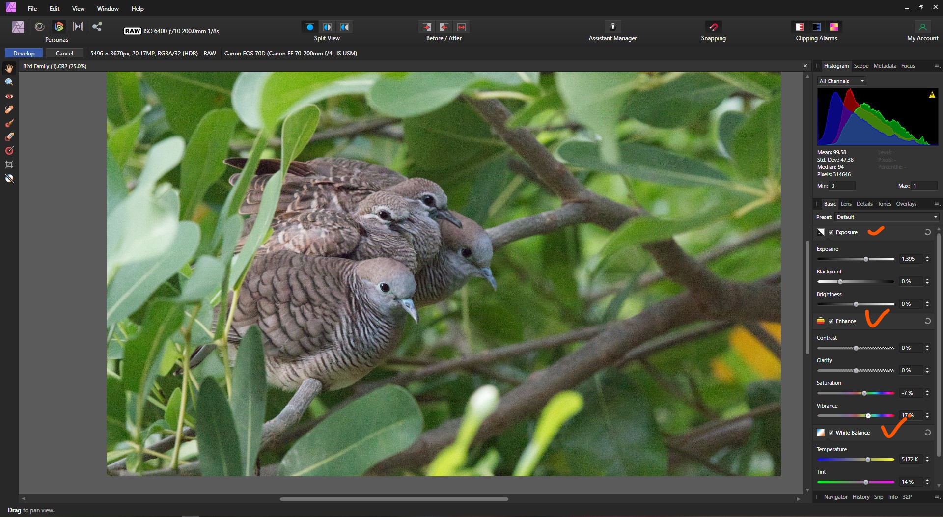 如何通过亲和力照片使用TOPAZ去噪AI