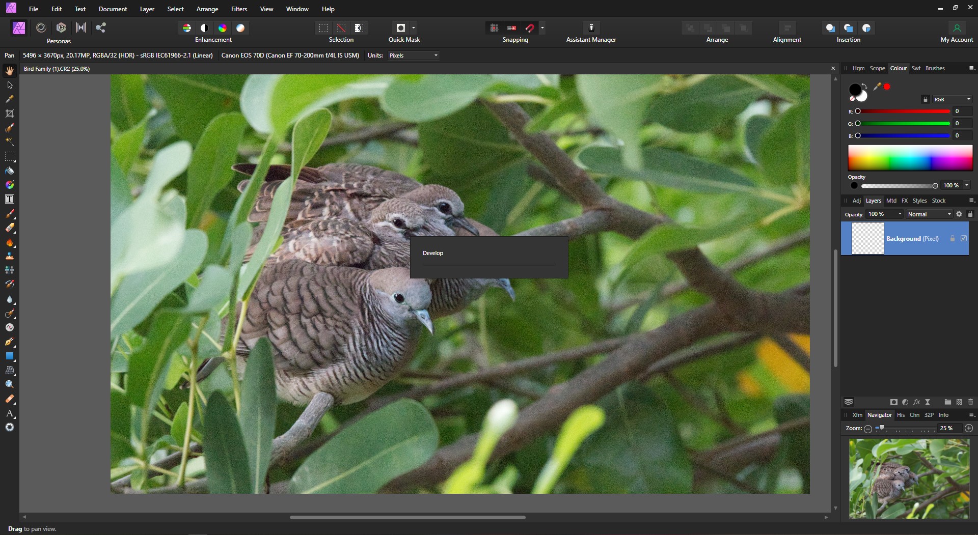 「AFFINITYPHOTO」でTOPAZDENOISE AIを使用するにはどうすればよいですか？