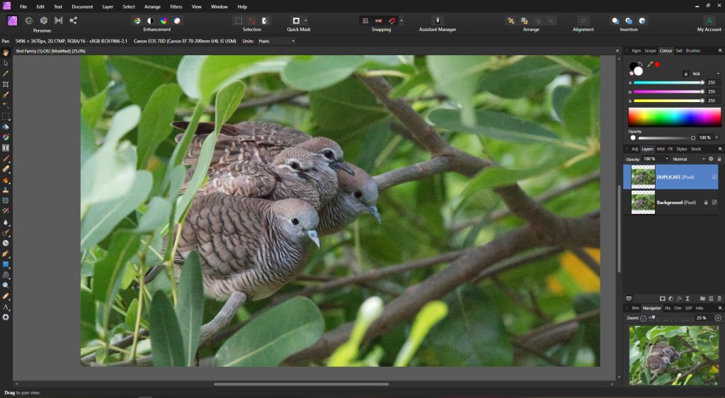 "साधारण फोटो" के साथ TOPAZ DENOISE AI का उपयोग कैसे करें?